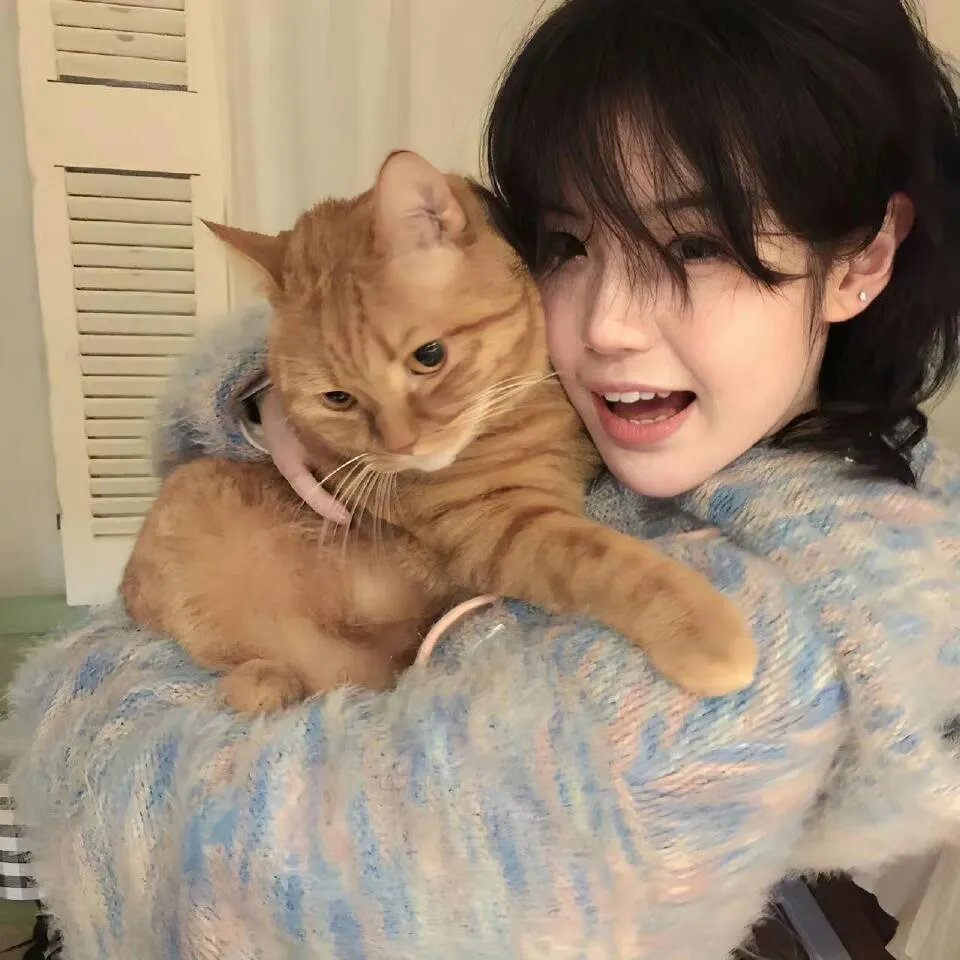 狩猎狗(电影)